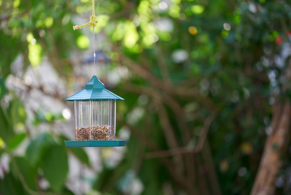Close-up shot of a hanging bird feeder filled with seeds in a lush green garden setting.